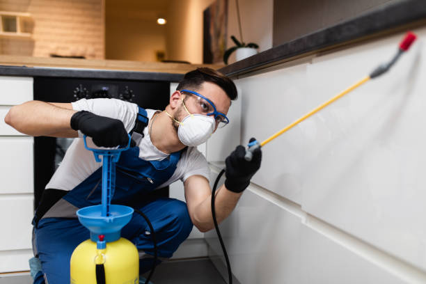 Best Affordable Pest Control Services  in Spring City, UT