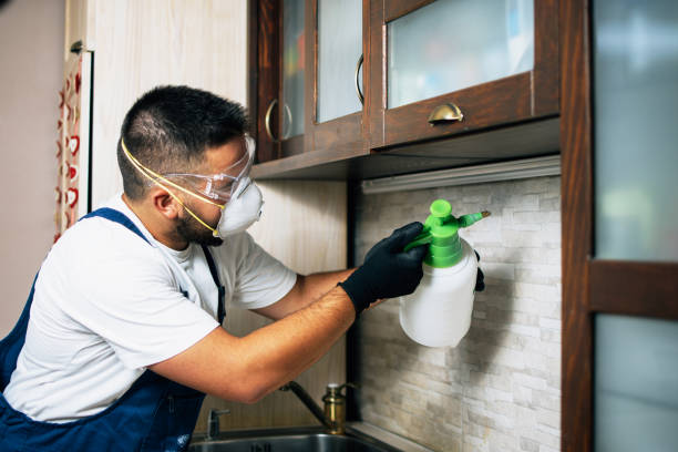 Best Insect Control  in Spring City, UT