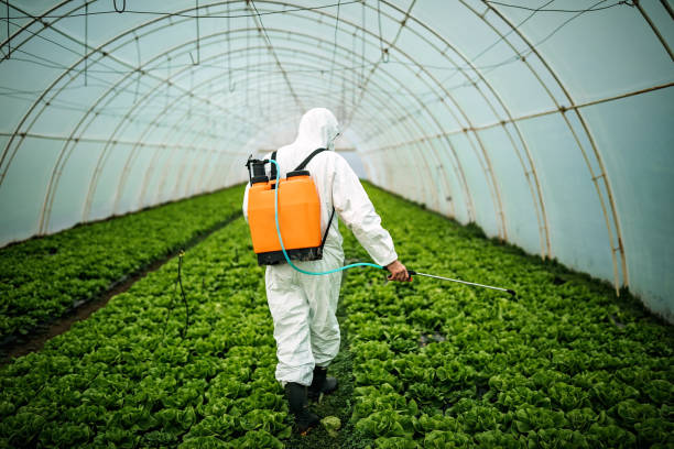 Best Pest Removal Services  in Spring City, UT