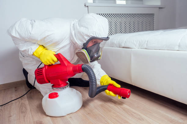 Best Cockroach Control Services  in Spring City, UT