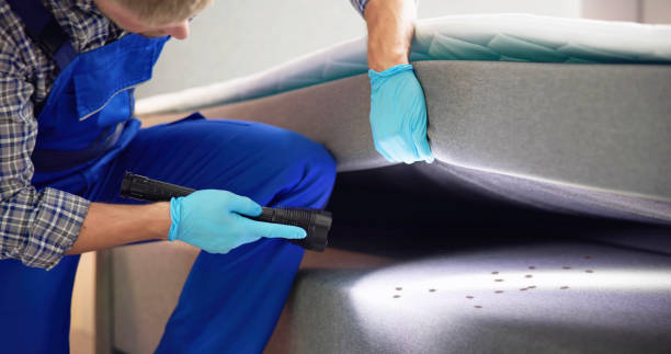 Best Local Pest Control Services  in Spring City, UT