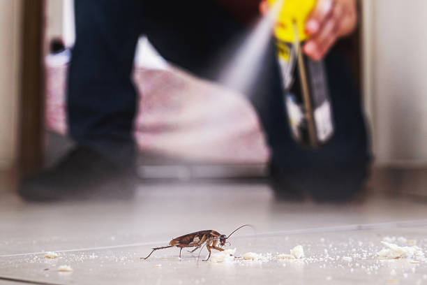 Best Affordable Pest Control Services  in Spring City, UT