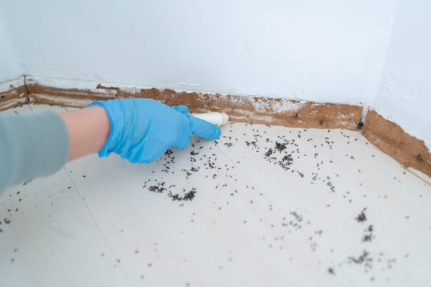 Best Pest Inspection Near Me  in Spring City, UT