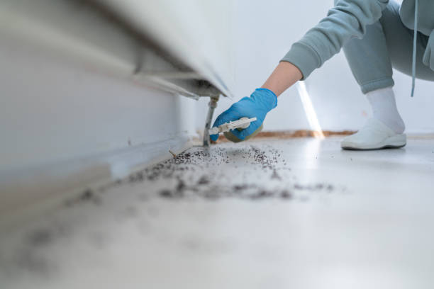 Best Wasp Removal Services  in Spring City, UT